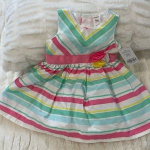 NWT Carters  adorable spring colors dress. 9M